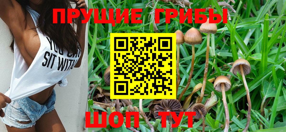 Псилоцибиновые грибы Magic Shrooms Нижний Новгород